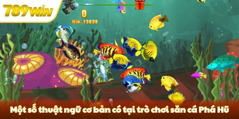 Một số thuật ngữ cơ bản có tại trò chơi bắn cá Phá Hũ Một số thuật ngữ cơ bản có tại trò chơi bắn cá Phá Hũ